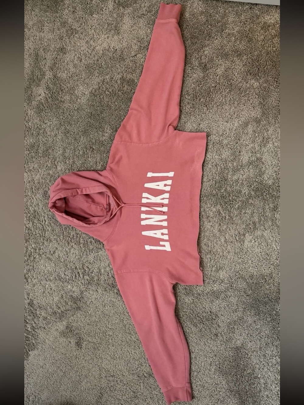 Rare Brandy Melville John Galt Lanikai Cropped Hoodie Pink - Picture 2 of 9